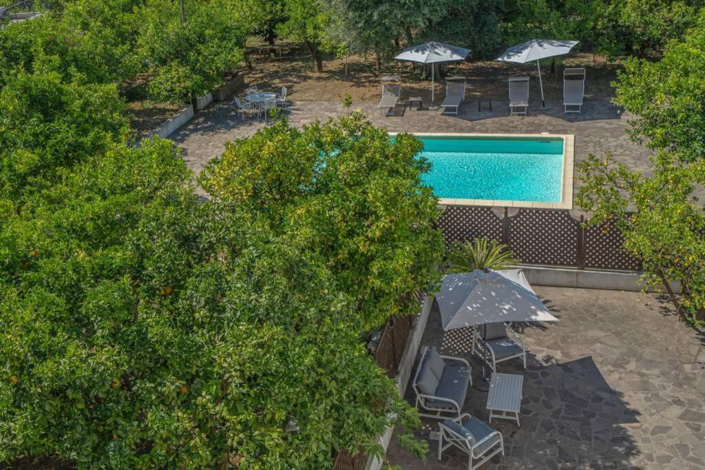 Apartmán Casa Gege', For Up To 5 Guests, Shared Pool, Sorrento Center Exteriér fotografie